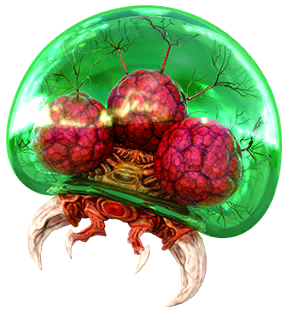 Metroid