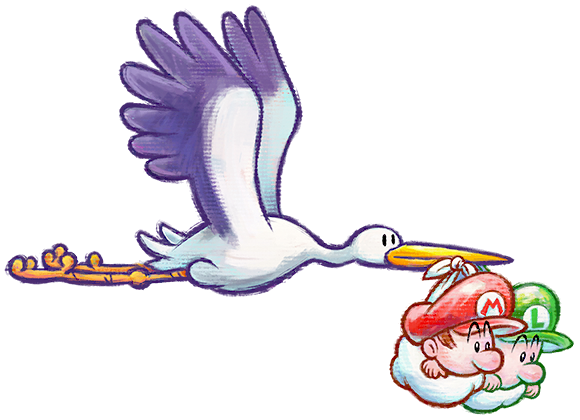 Stork