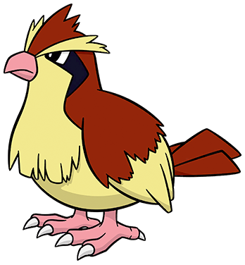 Pidgey