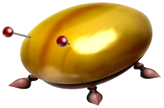 Iridescent Glint Beetle