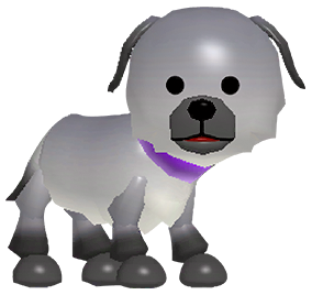Pet