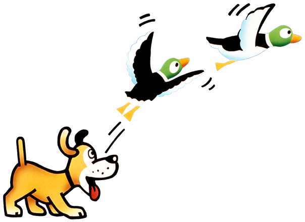 Duck Hunt