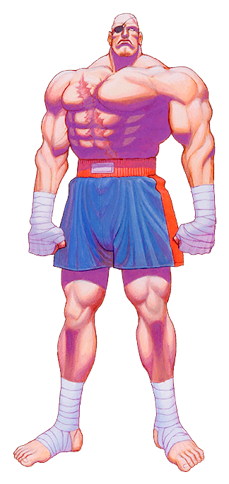 Sagat