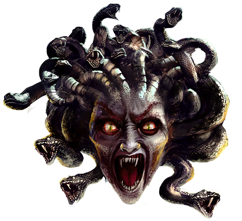 Medusa Head