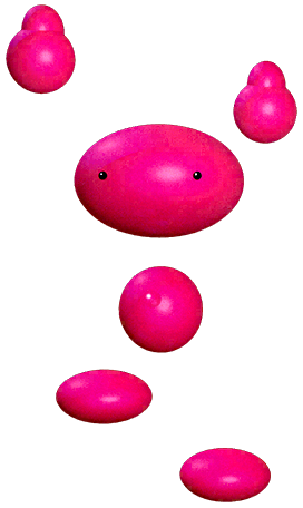 Sukapon