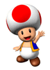 Toad
