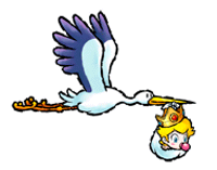 Stork