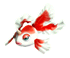 Goldeen