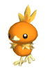 Torchic