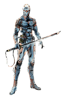 Gray Fox