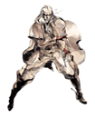 Revolver Ocelot