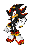 Shadow The Hedgehog